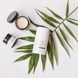 pexels-photo-6955178-6955178 pexels-photo-6955178-6955178.jpg